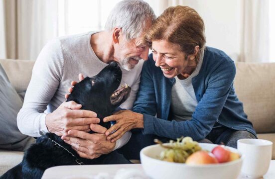 The Ultimate Guide to B2B IT Sales Strategies